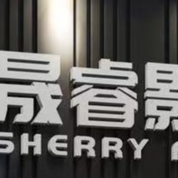 2021年武汉晟睿，游戏微电影，毕业微电影拍摄