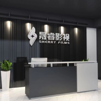 2021年武汉晟睿，动画汽车，动画手机