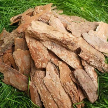生物除臭松树皮填料生产厂家供应 规格齐全