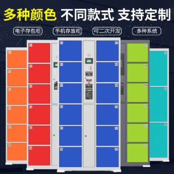 石家庄电子存包柜价格 电子存放柜