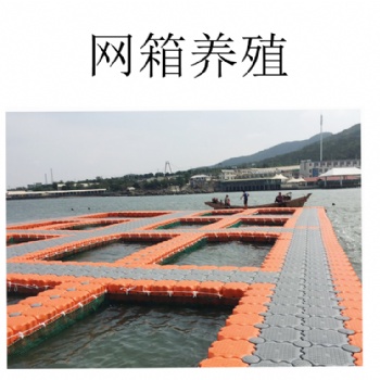 全新经济款水上浮筒 钓鱼平台 停船临时码头泊位 海上光伏养殖浮台网箱厂家