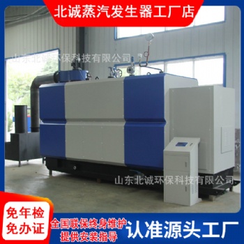 生物质蒸汽发生器0.3吨 饲料烘干专用 厂家直供 北诚环保