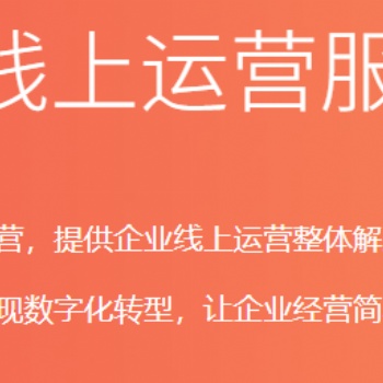 提供中小企业数字化转型服务