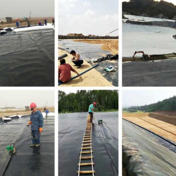 黑膜沼气池防渗膜鱼塘膜防渗土工膜蓄水池垃圾填埋养殖鱼池防漏膜