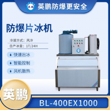 甘肃航天航空防爆片冰机，日产1000公斤