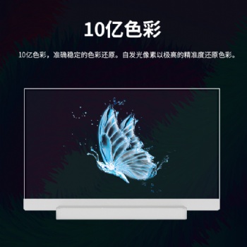 55寸OLED透明触摸显示屏
