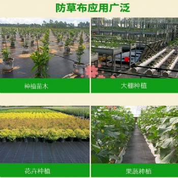 抗老化防草布 果园防草布厂家 山东防草布价格