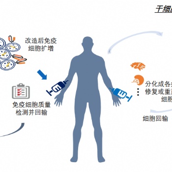 细胞治疗质量控制解决方案