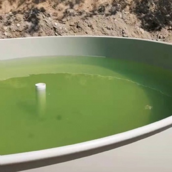 PP板pe板耐腐蚀耐酸碱聚丙烯pp水产养殖箱电解槽电镀水箱pp酸洗槽