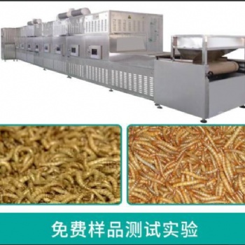 黄粉虫微波干燥设备 隧道式微波设备