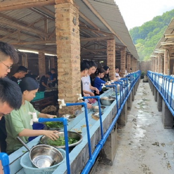 广州可以野炊做饭团建的地方