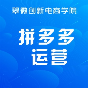 坂田水斗天虹拼多多电商培训，0基础手把手教学