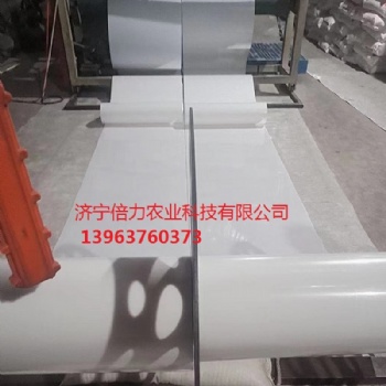 鸭舍自动清粪带白色出粪带PP材质