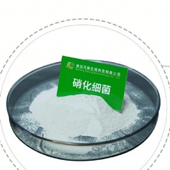 潍坊凡星生化池菌剂-硝化细菌