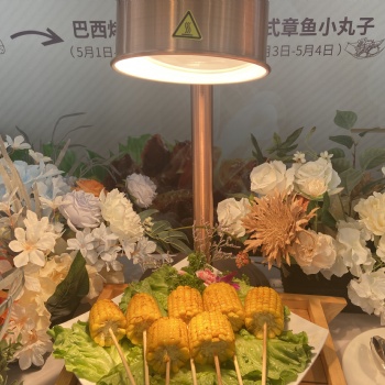 厨师上门做家宴 私人宴请，户外烧烤