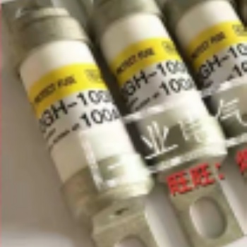 美国热电赛默飞5014iBeta环境颗粒物监测仪备件保险丝