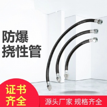 防爆挠性管防爆穿线软管连接管BNG-IDN15*300mm不锈钢金属防爆管4分非标定制
