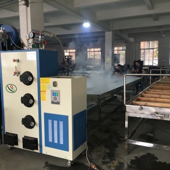 广东生物质锅炉 颗粒蒸汽发生器