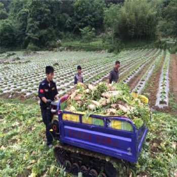 收割机防陷橡胶履带半链轨价格橡胶履带轮