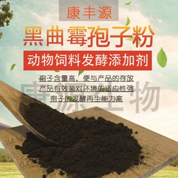 黑曲霉孢子粉 饲料发酵菌种 家禽家畜养殖用菌种