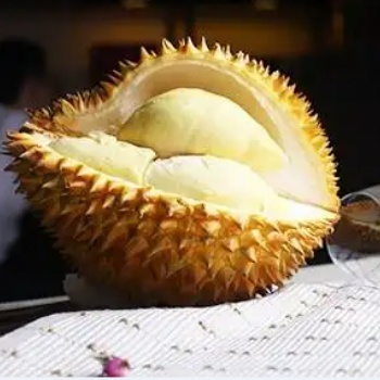 越南进口榴莲青岛港**