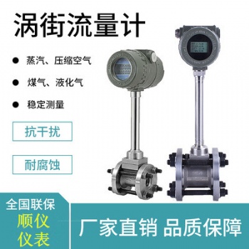 广东、湖南蒸汽流量计 气体涡街流量计供应商