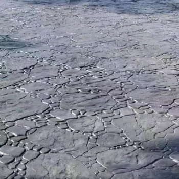 南宁绿色环保压模地坪材料脱模粉直供