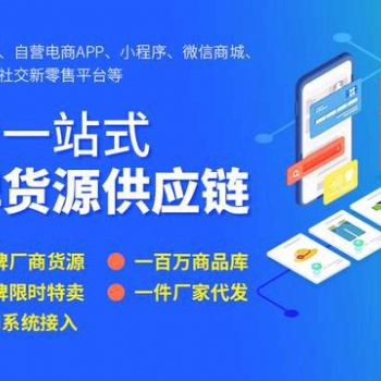 互联网定制软件/APP/小程序/分销系统/商城/直播