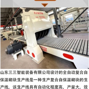 匀质自保温砌块生产线 自保温砌块设备 压制板生产设备