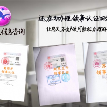 财务审计、验资报告老挝领事双认证