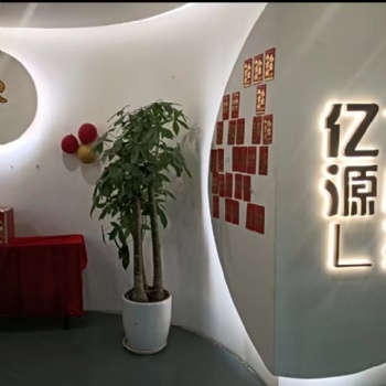 重庆九龙坡区靠谱的工商注册代办营业执照代办
