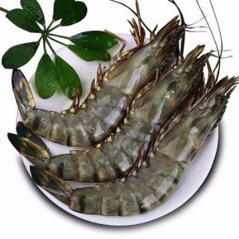 越南冷冻海鲜鱼进口**报关需要的资料和流程