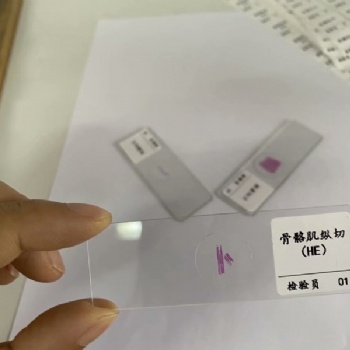 河南德教生物标本切片模型厂大中院校教学切片生物切片病理切片HE染色石蜡包埋基础医学