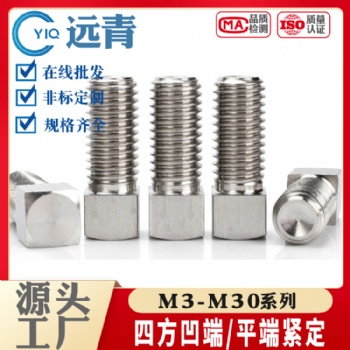304 316不锈钢方头紧定螺丝 GB821方头紧定四方头螺支持定制