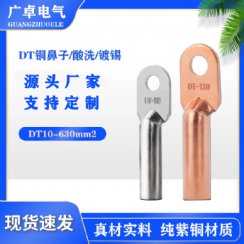 广卓牌 DT-300平方铜线鼻子 电缆接头铜线耳 铜鼻子铜接头