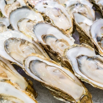 生蚝扇贝-多种贝类海鲜冷冻海产品即食?；? /></a></div>
	<div   id=
