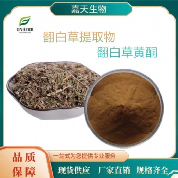 供应翻白草** 10：1 翻白草黄酮 多种规格 量大从优 支持拿样