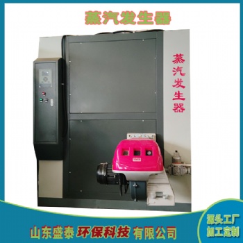 1吨蒸汽发生器 燃煤生物质蒸汽发生器