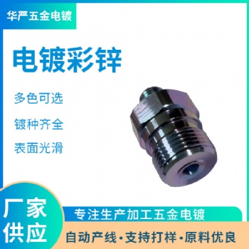 东莞电镀厂 电镀加工 电镀兰锌 白锌 彩锌 黑锌加工