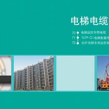 天诚电梯电缆，苏州爱普特