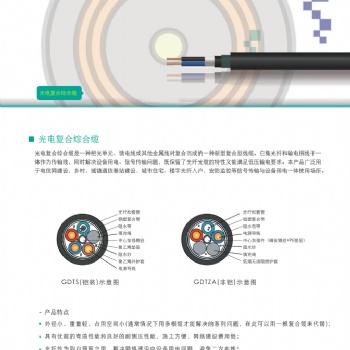 天诚光电复合综合缆，苏州爱普特