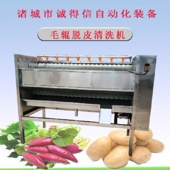 全自动土豆红薯脱皮清洗机 全自动毛辊清洗机