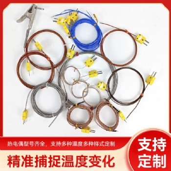 热电偶雷恩炉温测试仪：工业温度监测的可靠伙伴